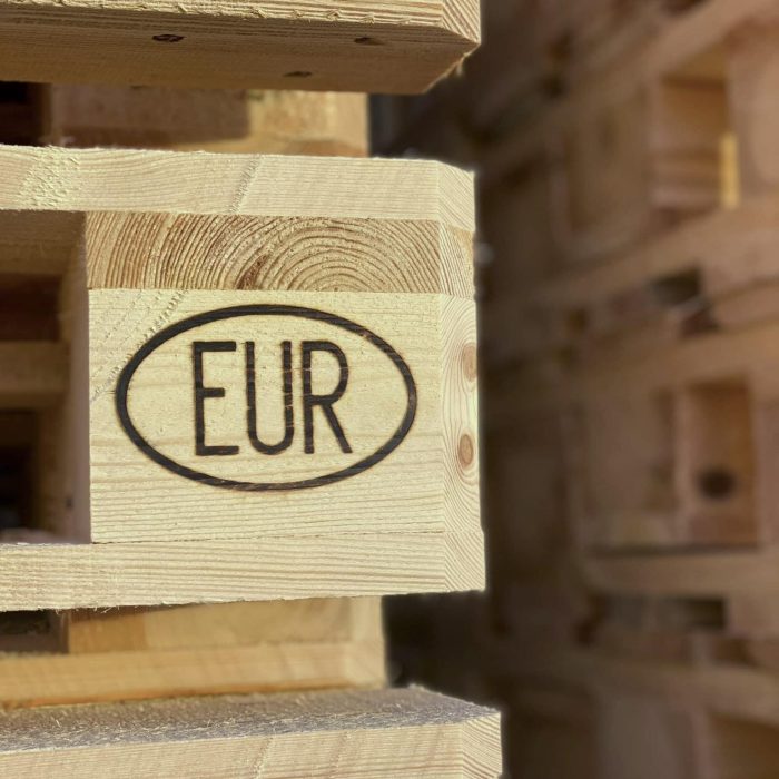 356359926_1018368842858898_1965898183542162869_n